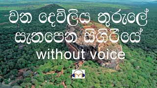 Wana Dewliya Thurule Karaoke Without Voice වන දෙව්ළිය තුරුලේ [upl. by Lirrehs]