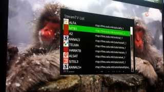 Internet TV Stream IPTV Vu Solo 2 RTSP  RTMP Protocol [upl. by Nie]