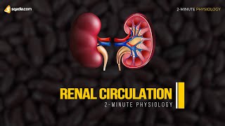 Interpretation of the Urinalysis Part 1  Introduction and Inspection [upl. by Ateerys]