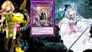 YGOPRO best witchcrafter deck [upl. by Maram]