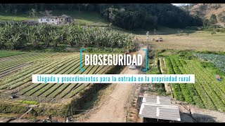 Bioseguridad en Fiebre Aftosa versión en español [upl. by Etteyafal]