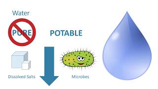 AQA GCSE Chemistry 91 Required Practical  Water Purification [upl. by Dall]