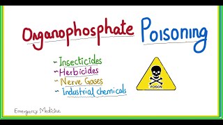 organophosphate poisoning  symptoms emergency management [upl. by Sykleb]