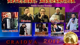 Muzica de Petrecere Lautareasca amp Banat  Live 2017  Revelionul Muzicantilor  Craiova [upl. by Omer]