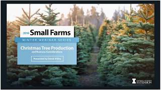 How to Start Your Own Christmas Tree Farm [upl. by Mighell]