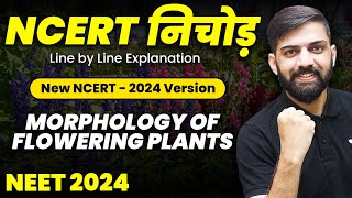 NCERT निचोड़ Morphology of Flowering Plants  NCERT Biology Line by Line Explanation for NEET 2024 [upl. by Tunk47]