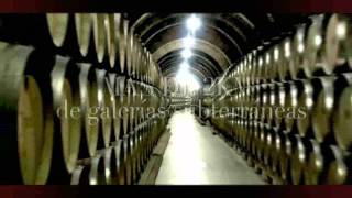 Bodegas Protos Vídeo corporativo en Castellano [upl. by Aracahs839]