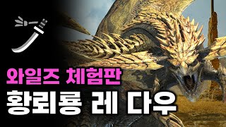 체험판 황뢰룡 레다우 태도  몬스터헌터 와일즈 베타 테스트 [upl. by Esilanna]