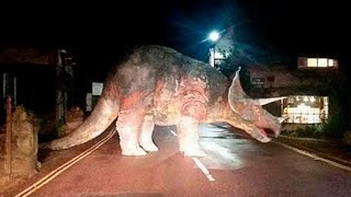 30 Dinosaures Capturés en Vidéo dans la Vraie Vie [upl. by Anahc]