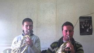 Beethoven 7 Orchestral Excerpt French Horn Javier Molina Parra y Miguel Morles Llopis [upl. by Darum]