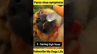 Parvo virus symptoms [upl. by Ileek]