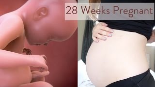 28 Weeks Pregnant What You Need To Know  Channel Mum [upl. by Atikal]