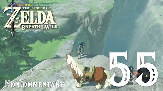 Breath of the Wild Ep55  The Ceremonial Trident amp Exploring Sokkala  No Commentary [upl. by Calmas]