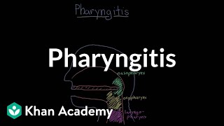 Pharyngitis  Respiratory system diseases  NCLEXRN  Khan Academy [upl. by Aerdna]