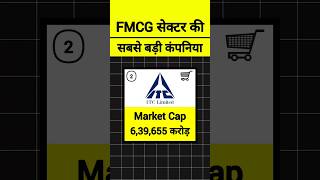 FMCG सेक्टर की सबसे बड़ी कंपनिया 😱🔥 stockmarket sharemarket shorts trendingstock fmcgstocks [upl. by Nnairet]