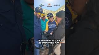 Así se vivió el curso de ecografía y reproducción equina expertoanimal veterinariodeconfianza [upl. by Oidualc]