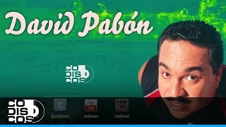 Si Me Ves Llorar David Pabón  Audio [upl. by Hanafee237]