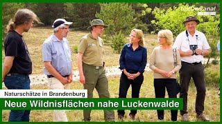 Naturschätze in Brandenburg  Neue Wildnisflächen nahe Luckenwalde [upl. by Epoh225]