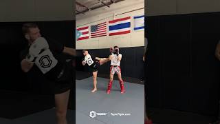 Countering a teep muaythai fighter [upl. by Matlick]