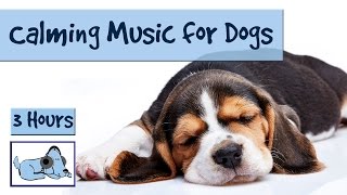 3 and a Half Hours of Calming Music for Dogs [upl. by Selden563]