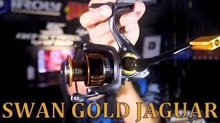 CUMA 190 RIBUAN DOANG REEL KEREN INI  SWAN GOLD JAGUAR [upl. by Leba]