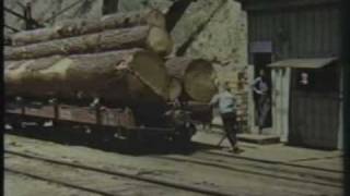 Yosemite Lumber Co inclinewmv [upl. by Eizdnil]