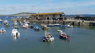 Lyme Regis Marine Aquarium Dorset [upl. by Aninahs]