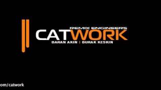 Catwork Remix Engineers  Insomnia [upl. by Hyps]