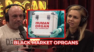 Black Market Marijuana Full Episode  Trafficked with Mariana Van Zeller [upl. by Feliks]