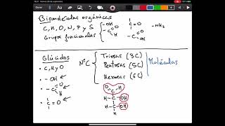 Biomoléculas orgánicas  Introducción [upl. by Akcirred771]