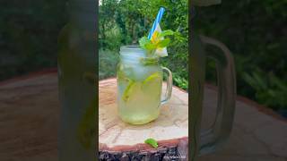 Passion fruit mojito 🍹🍹 [upl. by Maurili]