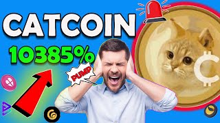 Catcoin Pump 10300 NOW  Catcoin Review  LovlyinuLuncRaca Updat  catcoin Next shiba [upl. by Elleynad]