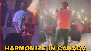 🔴HILI HAPA BALAA ZITO LA HARMONIZE AKIPIGA SHOW YA KIBABE NCHINI CANADA TORONTO SIO POA TAZAMA HAPA [upl. by Conard]