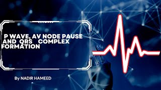 ECG P wave QRS complex and t wave [upl. by Bibeau]