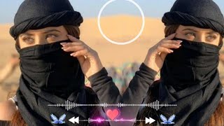 New Arabic Remix Song 2024  Arabic Song  Slowed Reverb  Bass Boosted  Arabic Remix Songs [upl. by Adnalohs]