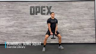 Dumbbell Sumo Squat [upl. by Andreas]