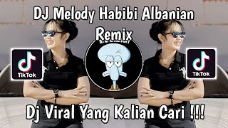 DJ MELODY HABIBI ARABIAN REMIX  DJ MELODY KANE FEXD RMX VIRAL TIK TOK TERBARU 2024 [upl. by Dyun]