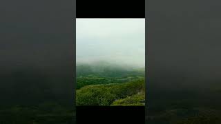 latamangeshkar nature sahyadrimountains hitsong travel shorts naturelovers naturephotography [upl. by Akiraa]