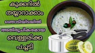 Vellarikka pachadiHow to make cucumber pachadi in malayalamKerala Sadhya Special [upl. by Durand879]