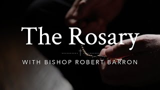 Why Pray the Rosary [upl. by Bigot639]