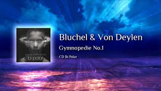 Bluchel amp Von Deylen  Gymnopedie No 1 [upl. by Eiramyllek128]