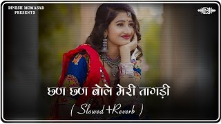 Tagdi Song  Slowed amp Reverb  Ajay Hooda  New Haryanvi Song Lofi  Tagdi Haryanvi Song Lofi Mix [upl. by Debee23]