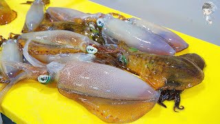 KOREAN STREET FOOD BIG FIN SQUID SASHIMI POHANG SONGDO SEAFOOD MARKET 무늬오징어 회 포항 송도 활어회센터 111221 [upl. by Akir]