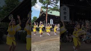 The kids of Kikusuiren😊 Awa Odori in Myōhōji Temple Tokyo 【菊水】妙法寺で阿波踊り！子供ステージ 夏のふれあい千日紅花祭り [upl. by Trainor]