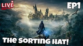 Hogwarts Legacy The sorting hat [upl. by Aika]