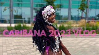 Caribana Vlog Toronto Caribbean Carnival 2023 Parade w Tribal JabJab Jouvert Tsunami wet fete [upl. by Yentihw]