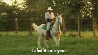 Caballito Nicoyano Folklore de Costa Rica [upl. by Gasparo]