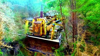 Salvaging an Abandoned TD9 Bulldozer from the Forest Will it start [upl. by Irneh]