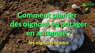 Comment PLANTER les OIGNONS en AUTOMNE  👍👍 [upl. by Llerrat172]