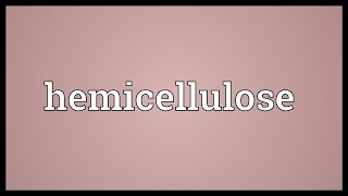 Hemicellulose Meaning [upl. by Edna]